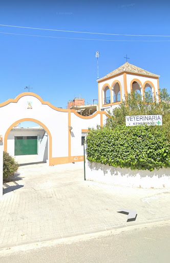 Centro Veterinario Gerena – Gerena