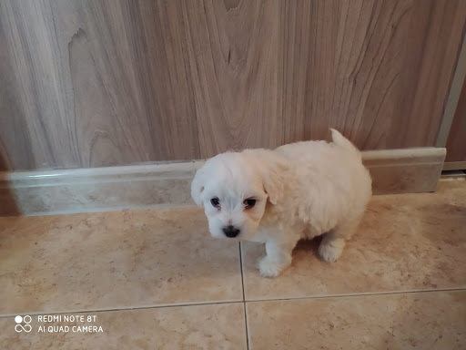 Centro Veterinario Gibraleón – Gibraleón