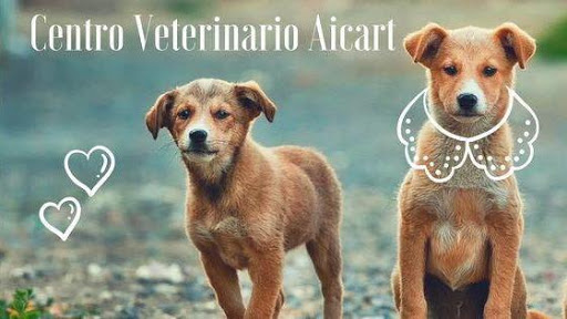 Centro Veterinario Gilet Aicart – València
