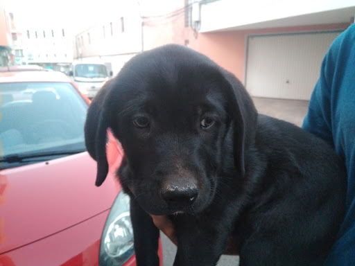 Centro Veterinario Gran Tarajal – Gran Tarajal