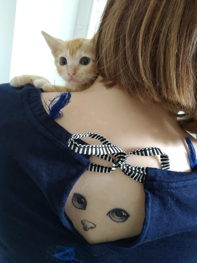 Centro Veterinario Guadalcacin – Jerez de la Frontera