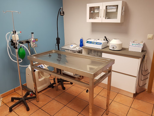 Centro Veterinario Guísamo – Guísamo