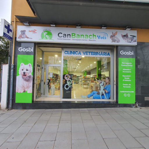 Centro Veterinario I Perruqueria Canina | Canbanach Vets – El Vendrell