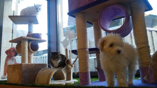 Centro Veterinario Imevet – Gondomar