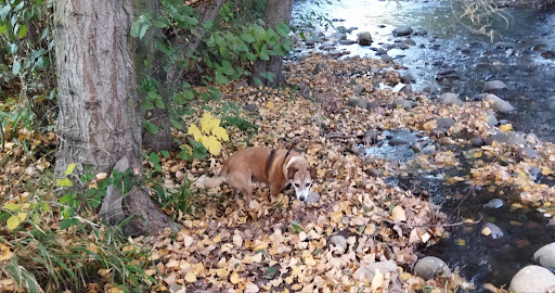 Centro Veterinario Iregua – Lardero