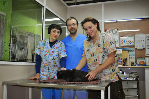 Centro Veterinario Joanic – Barcelona