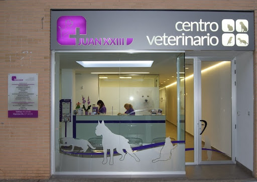 Centro Veterinario Juan Xxiii – Valencia