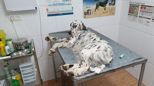 Centro Veterinario Jurado – Cazorla