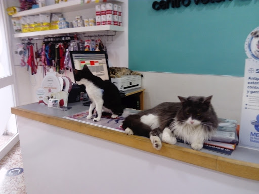 Centro Veterinario Kenia – El Viso del Alcor