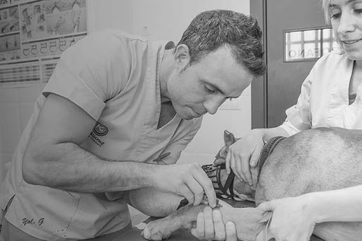 Centro Veterinario Kukume Albaitaritza-algorta – Getxo