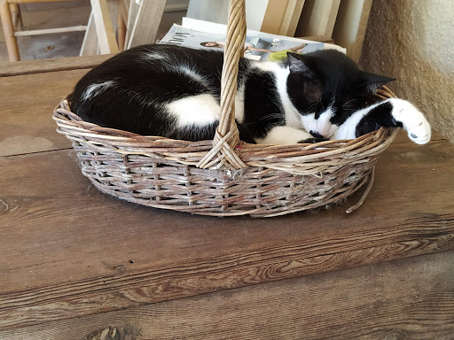 Centro Veterinario La Cala – L’Ametlla de Mar