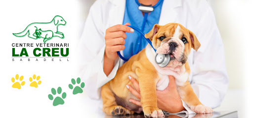 Centro Veterinario La Creu – Sabadell