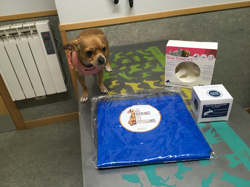 Centro Veterinario La Guia – Vigo