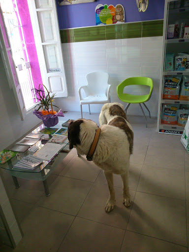 Centro Veterinario La Union – Castellón de la Plana