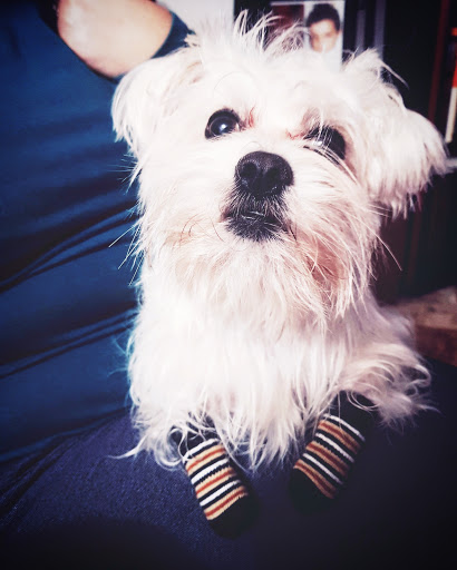 Centro Veterinario La Viñuela En Córdoba – Córdoba