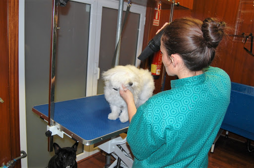 Centro Veterinario La Vinyala – Sant Vicenç dels Horts