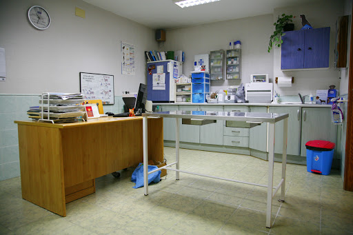 Centro Veterinario Lares – Villanueva de la Serena