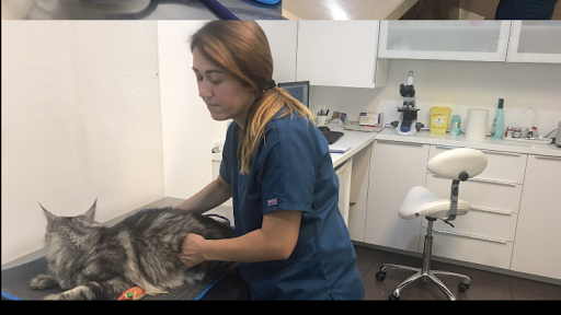 Centro Veterinario Lesseps – Barcelona