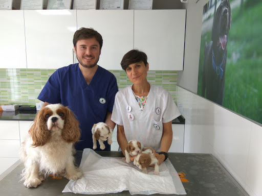 Centro Veterinario Lidercan – Monachil