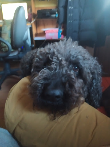 Centro Veterinario Los Molinos – Los Molinos