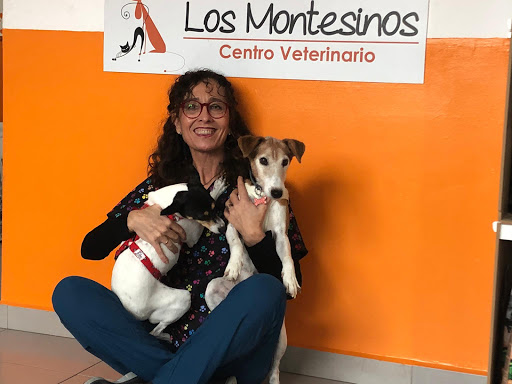 Centro Veterinario Los Montesinos | Fisioterapia y Rehabilitación Animal | Neurología – Los Montesinos