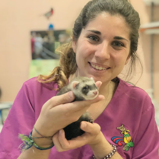 Centro Veterinario Los Sauces – Madrid