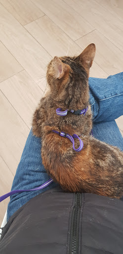 Centro Veterinario Macao En Aluche – Madrid