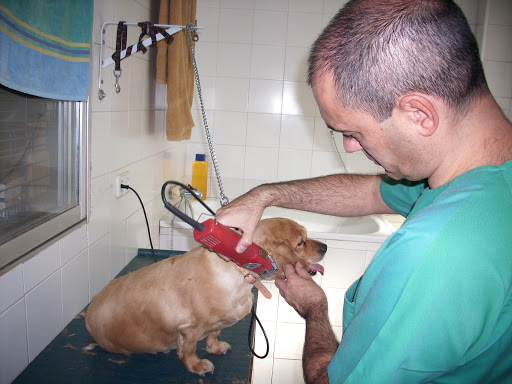 Centro Veterinario Macarena – Sevilla