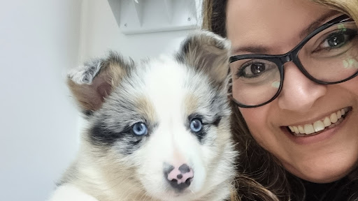 Centro Veterinario Mascotiti – Madrid