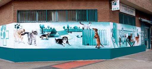 Centro Veterinario Medican – Madrid