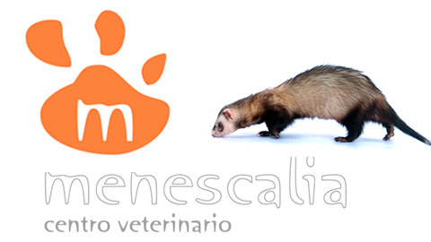 Centro Veterinario Menescalia – Valencia