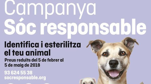 Centro Veterinario México S.l. – Almenar