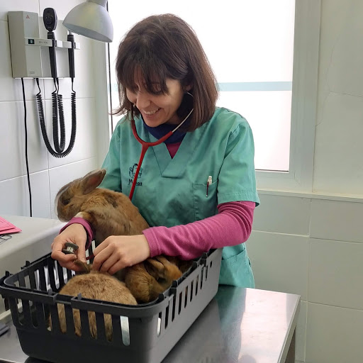 Centro Veterinario Minos – Sant Andreu de la Barca