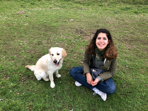 Centro Veterinario Mirasierra – Madrid