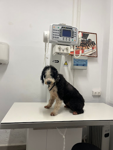 Centro Veterinario Monda – Monda