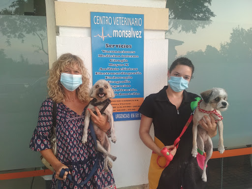 Centro Veterinario Monsalvez – Churriana