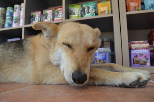 Centro Veterinario Montañana – Zaragoza