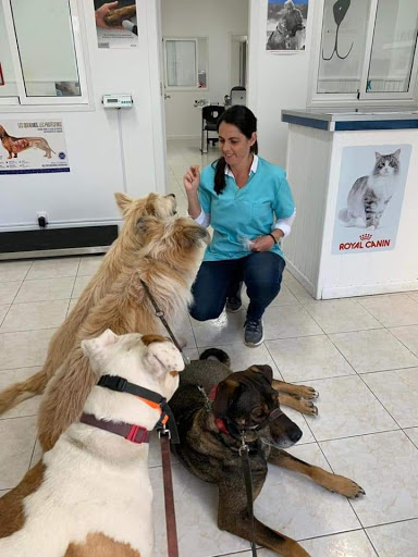 Centro Veterinario Nayra O´shanahan – Las Palmas de Gran Canaria