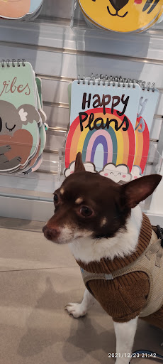 Centro Veterinario Paiporta – Paiporta