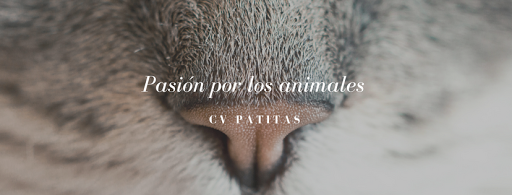 Centro Veterinario Patitas – Madrid