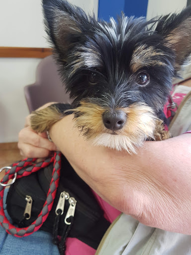 Centro Veterinario Petitons – SETLA-MIRAROSA