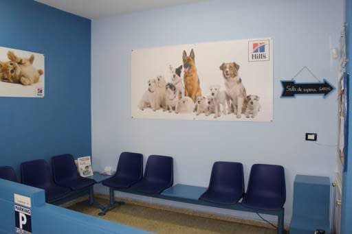 Centro Veterinario Pintor Colmeiro – Vigo