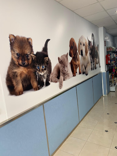 Centro Veterinario Pitiuso – Santa Eulària des Riu