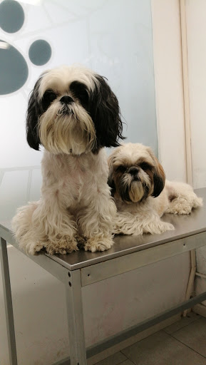 Centro Veterinario Poal – Castelldefels