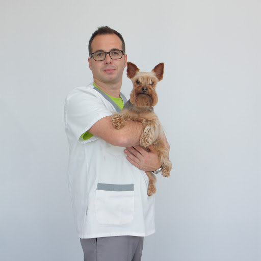 Centro Veterinario Ponteareas S.l – Ponteareas