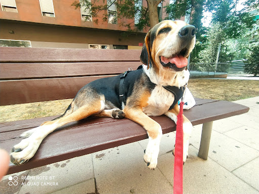 Centro Veterinario Porta – Barcelona