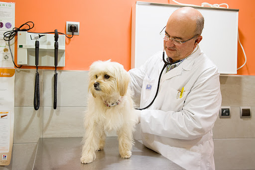 Centro Veterinario Prieto – La Pobla de Vallbona