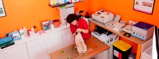 Centro Veterinario Ramon I Cajal – Godella