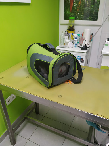 Centro Veterinario Realejo – Granada