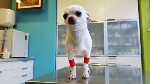 Centro Veterinario Retamas 75 – Alcorcón